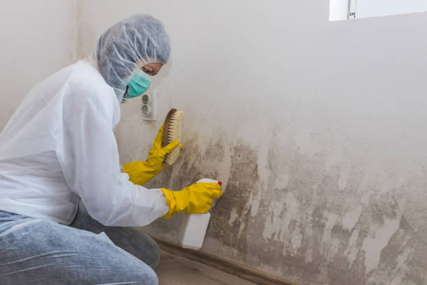 Best Bathroom Mold Remediation in Oxford, GA