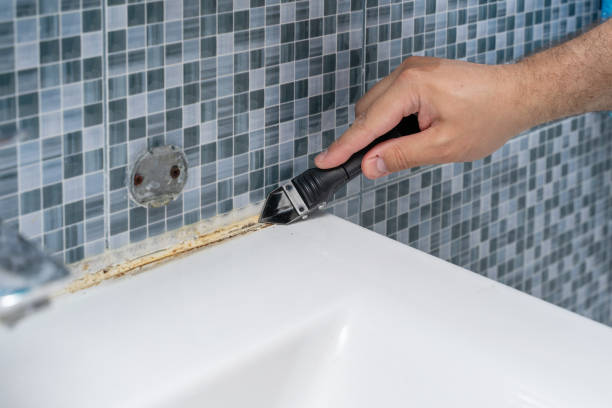 Best Health and Safety Mold Remediation in Oxford, GA