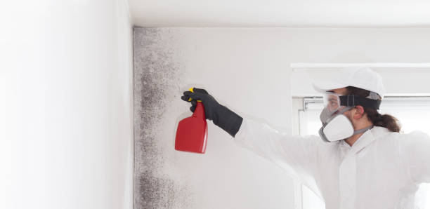 Best Residential Mold Remediation in Oxford, GA